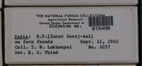 Image Associated With the Occurence